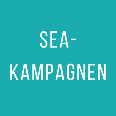 SEA-Kampagnen